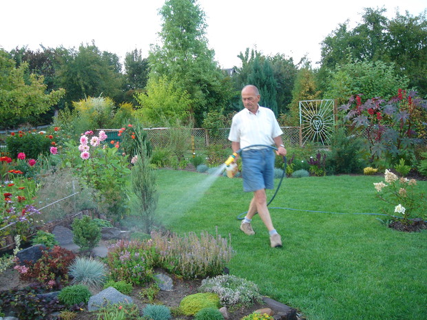 Tanecznym krokiem.........