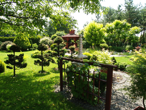 Trejaż bambusowy z aktinidią  pstrolistną