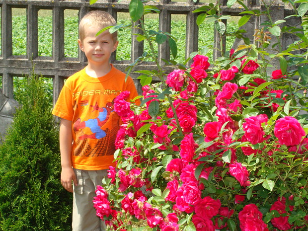 Tyle szczęścia i radości daje ogród..