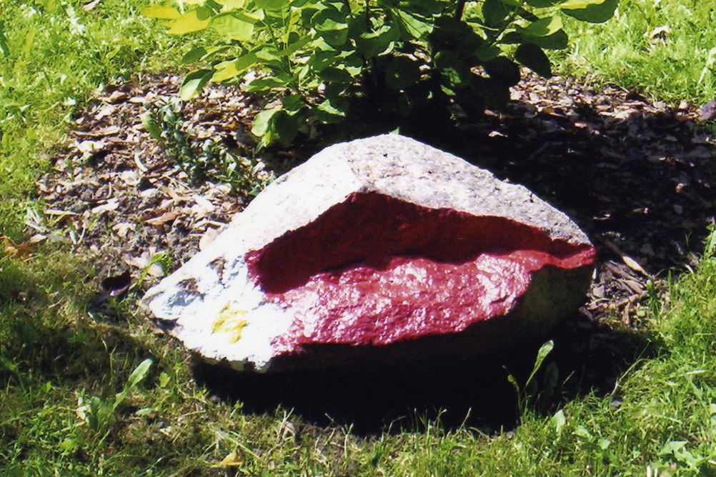 „Usta ogrodu” swoje miejsce znalazły pod perukowcem
'Golden Spirit'