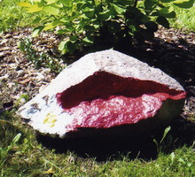 „Usta ogrodu” swoje miejsce znalazły pod perukowcem
'Golden Spirit'