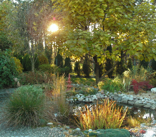 W promieniach zachodzącego słońca