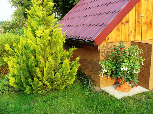 W tle piwniczka na ziemniaki