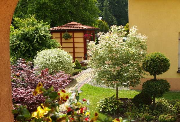 widok na ogród w tle herbaciarnia