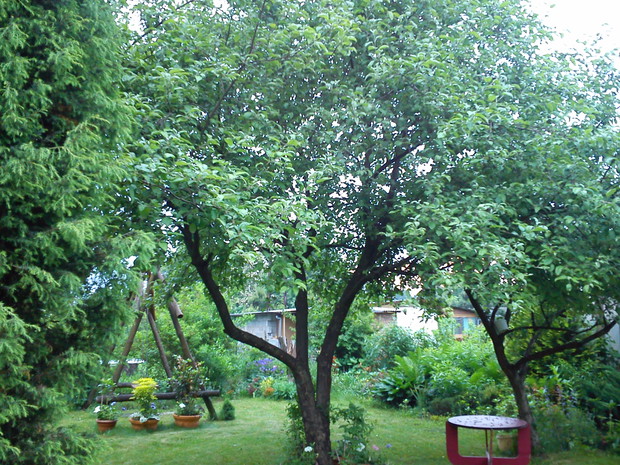 Wiosenny ogród zachęca do odpoczynku.