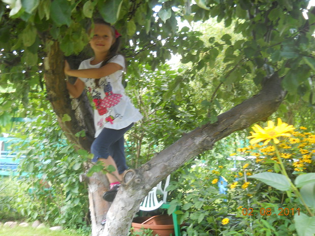 Wnuczka uwielbia zrywać  jabłka