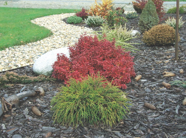 Wyściółkowane korą rabaty pomagają na długo utrzymać wilgoć.