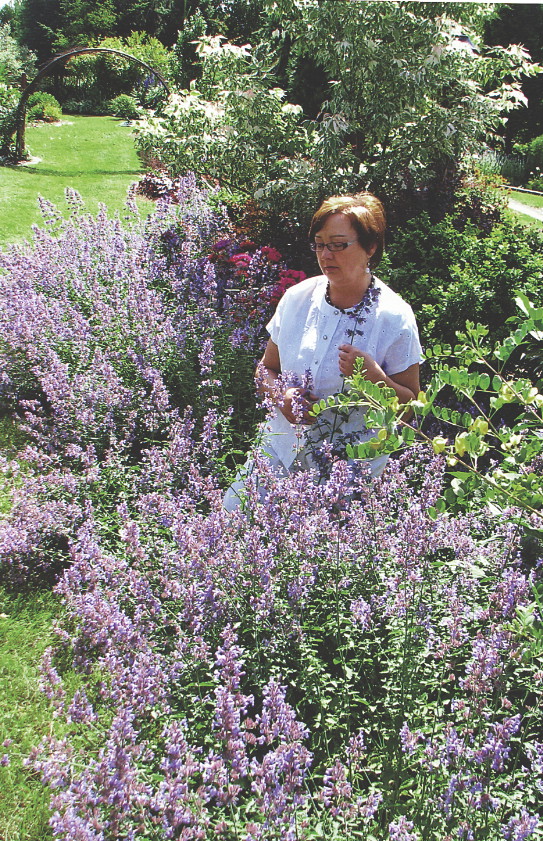 Zapach kwitnącej lawendy wycisza umysł.