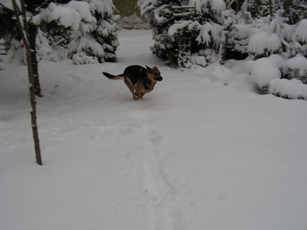 Zdążyc przed wiosną