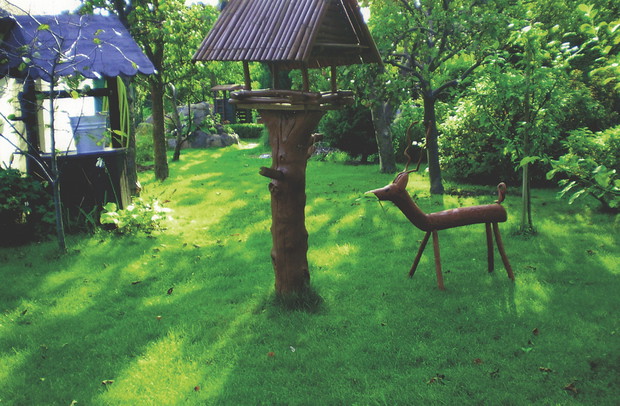 Ze starego konara powstała sarna.