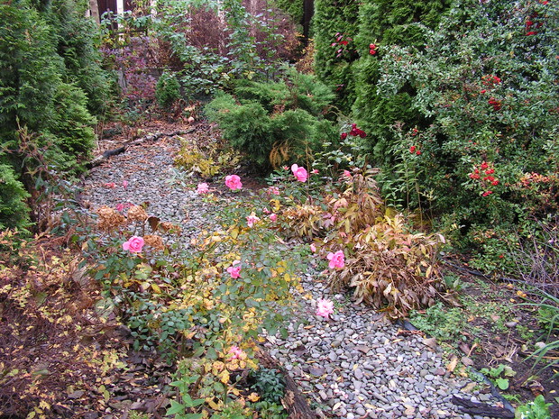 Żwirowa alejka jesienią