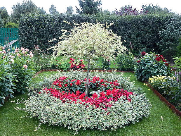 A to moja kompozycja kwiatowa sprzed dwóch lat już nie istniejąca ,w zeszłym sezonie zrobiliśmy "przemeblowanie":)