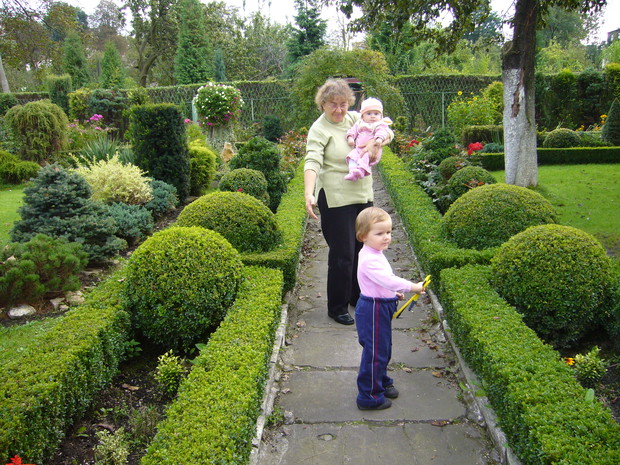 Aby utrzymać bukszpany w dobrej formie, przycina się je dwa razy w roku. Najpierw wiosną, w marcu, a potem latem – na przełomie lipca i sierpnia. Zwykle ucina się około 1/3 długości przyrostu. Im roślina jest większa, tym mocniej można ją przyciąć. To spr