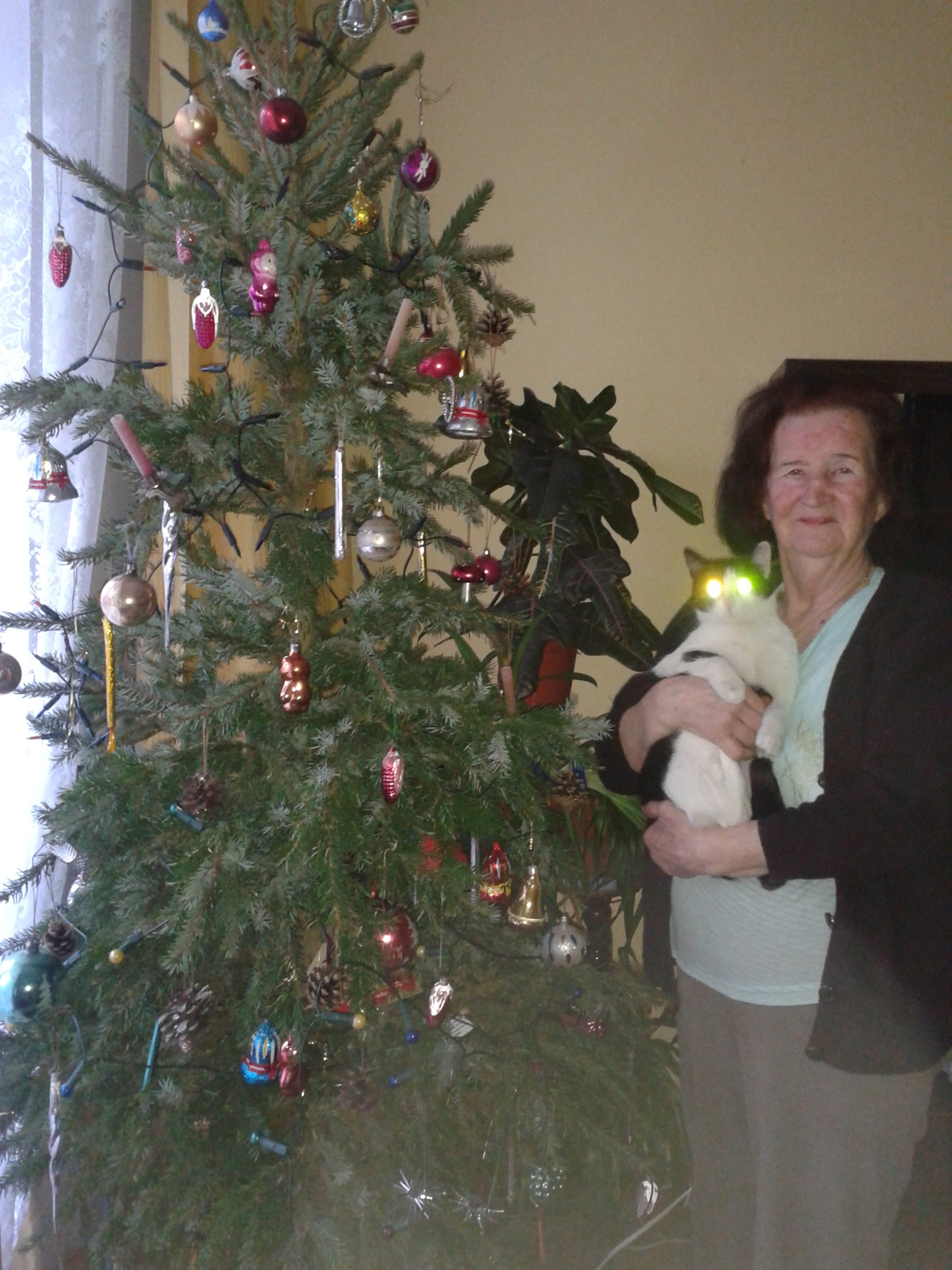 BABCIA ALICJA I MISIA