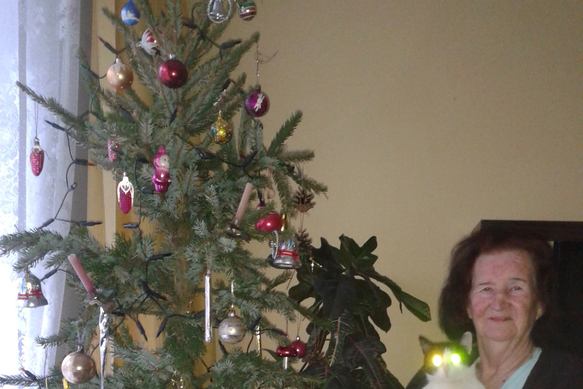 BABCIA ALICJA I MISIA