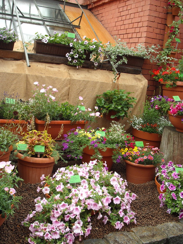 BOTANCZNY 
WROCŁAW