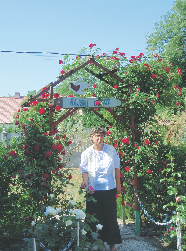 Brama z pnącej róży odurza swym aromatem  i zachęca do odwiedzenia ogrodu.