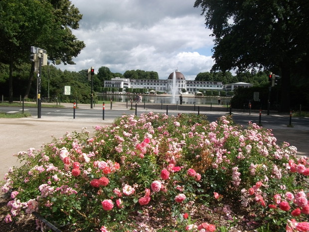 cd, Rhododendronengarten -pachniało przepięknie