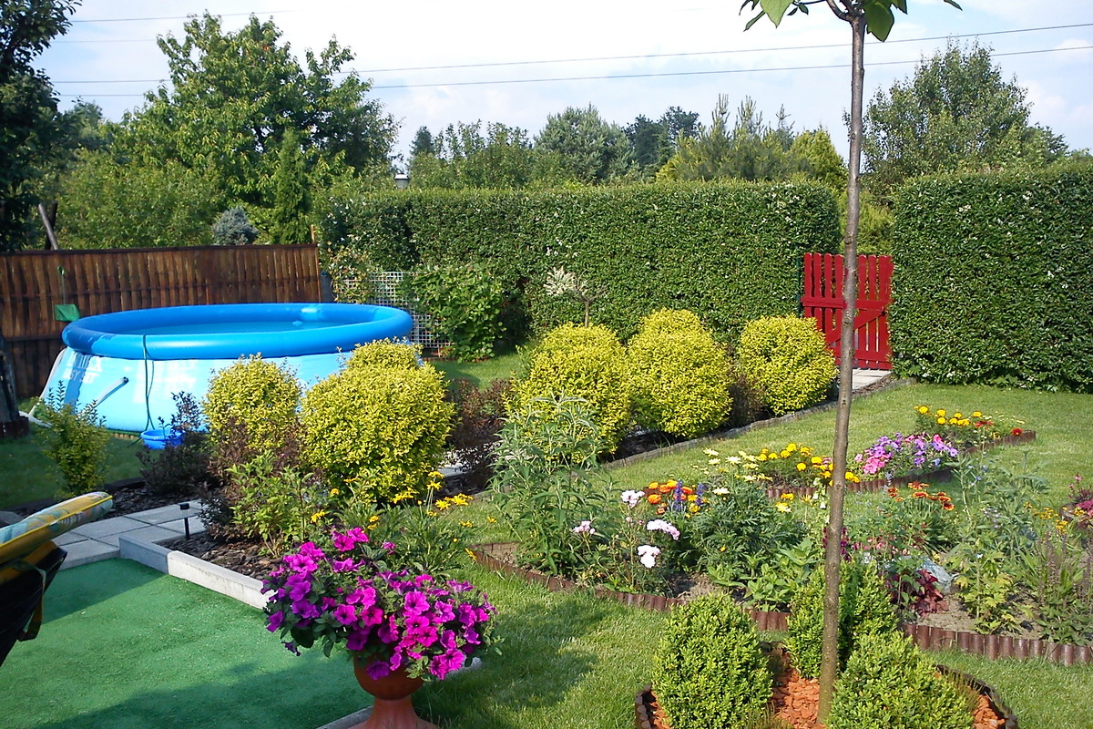 Coś dla ochłody w upalne dni:)