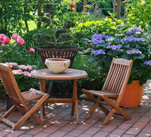 Do uprawy na tarasie nadają się gatunki nisko rosnące, które nie wrastają głęboko w ziemię