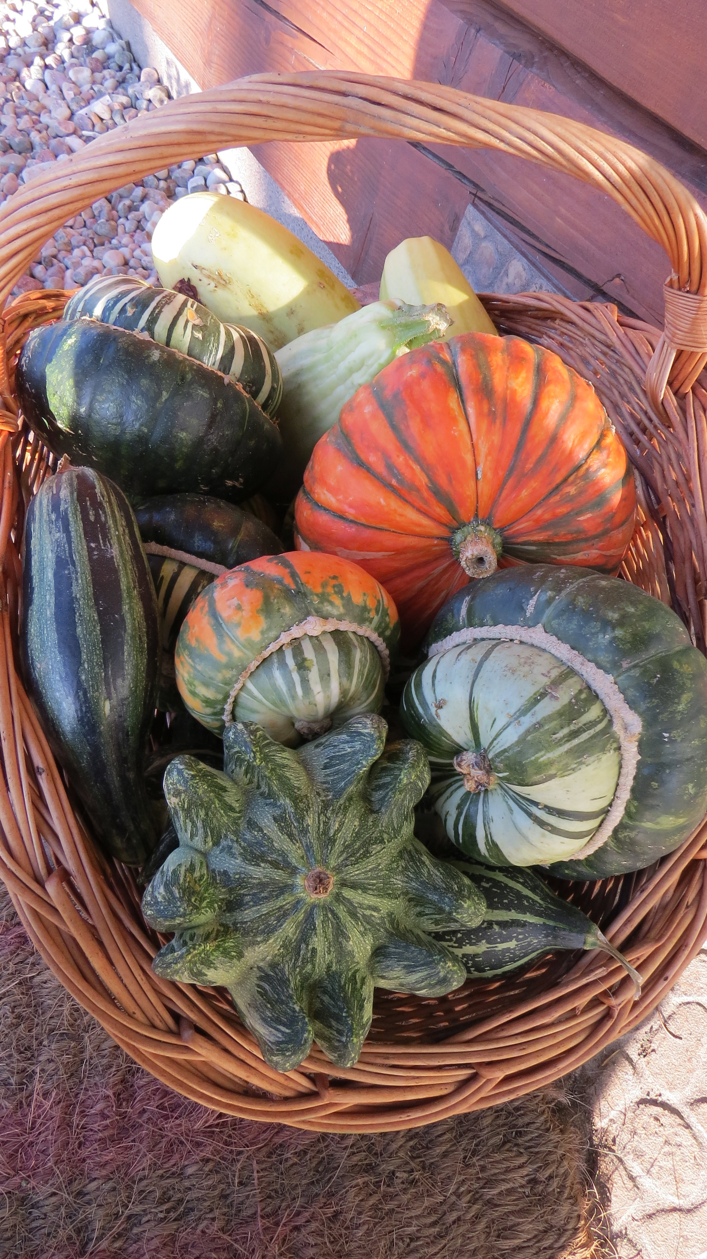 Dynie ozdobme bardzo zdobne