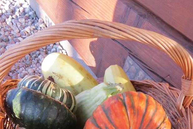 Dynie ozdobme bardzo zdobne