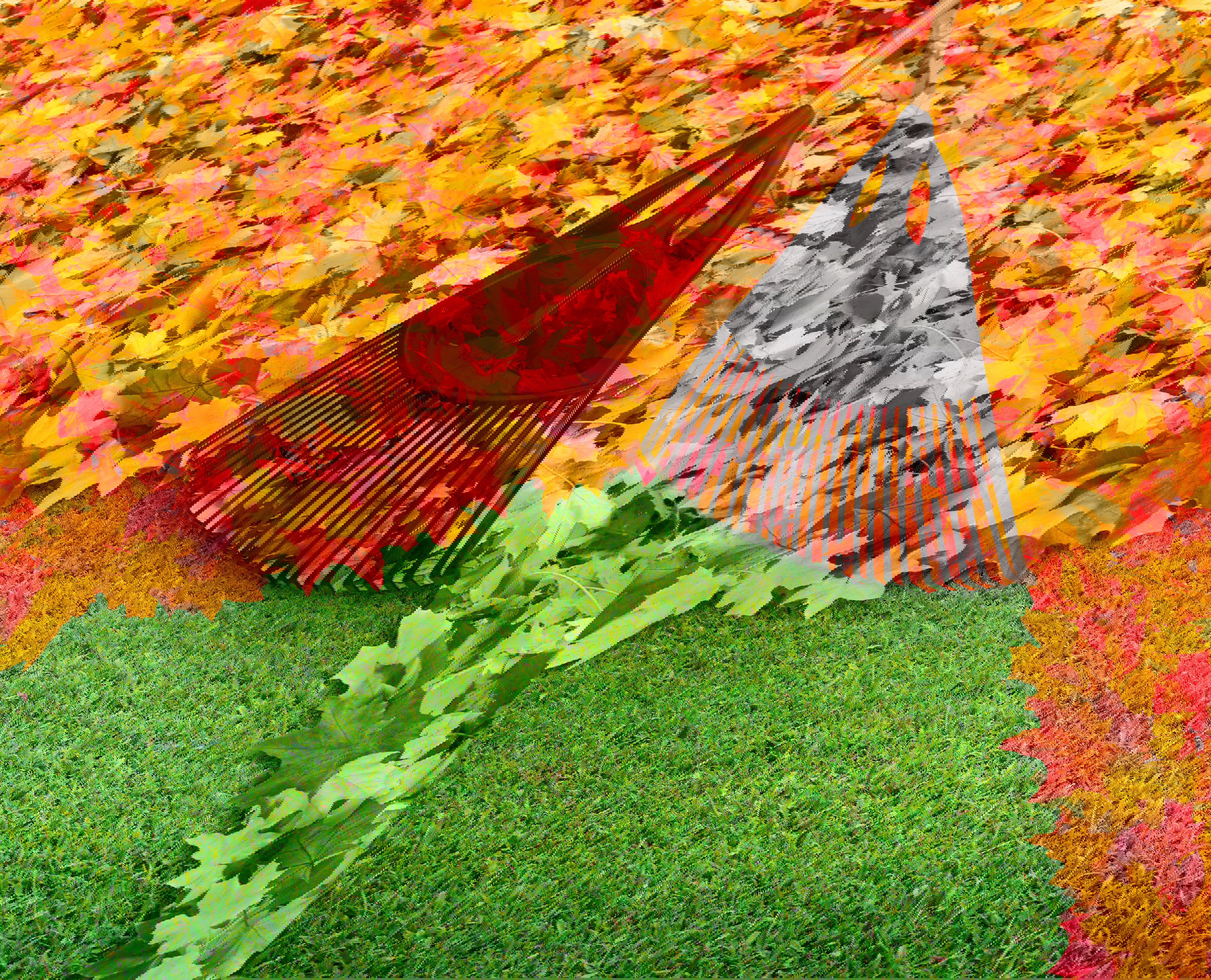 Dzięki innowacyjnym narzędziom Fiskars jesienne porządki będą prawdziwą przyjemnością