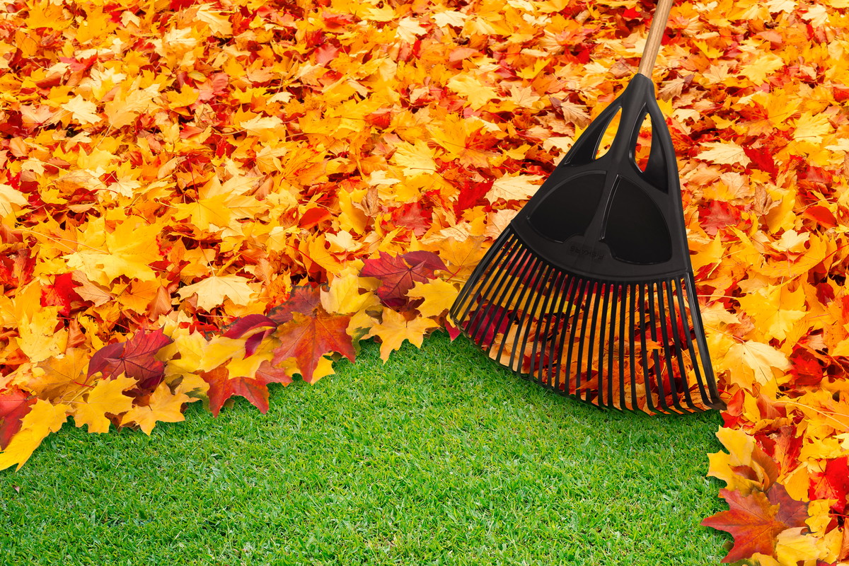 Dzięki innowacyjnym narzędziom Fiskars jesienne porządki będą prawdziwą przyjemnością