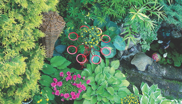 Jestem fanem funkii. Na mojej działce mam aż 34 odmiany!