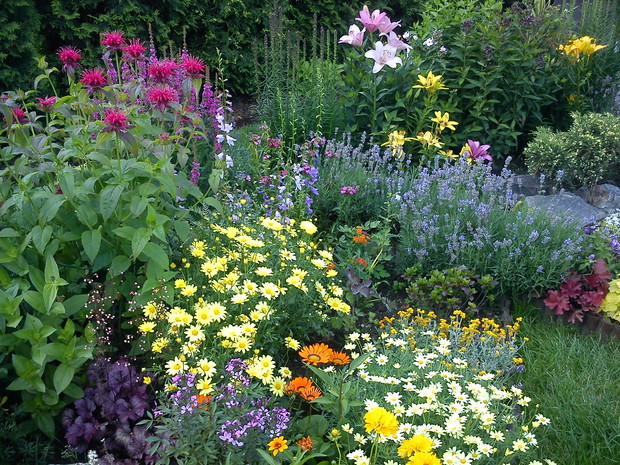 Kolorowy misz masz:)