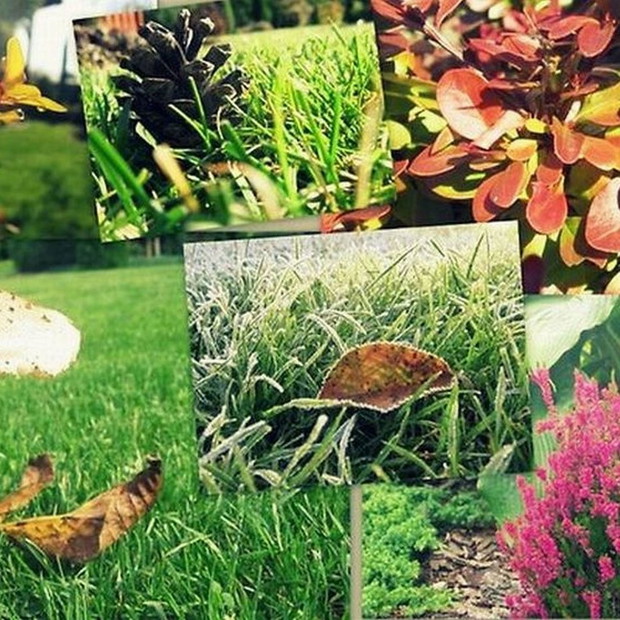 Kolory w całej okazałości