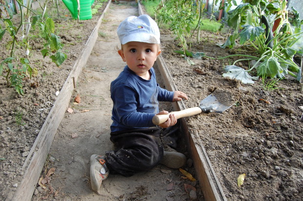 Mały pomocnik babci