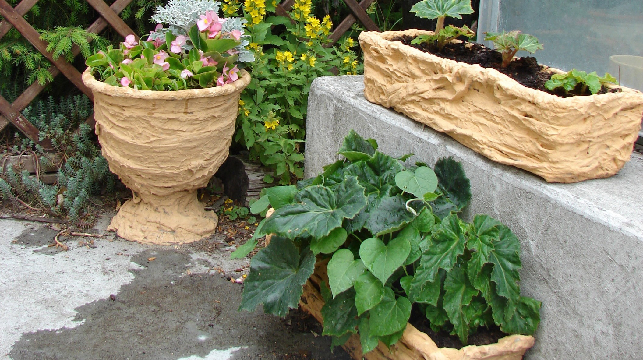 Moim sposobem da się odnowić donice w różnych kształtach i rozmiarach.