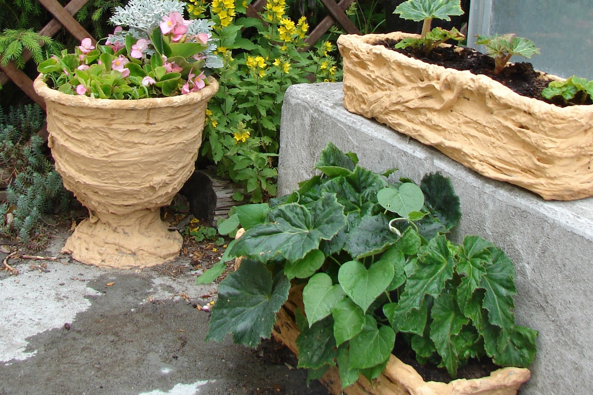 Moim sposobem da się odnowić donice w różnych kształtach i rozmiarach.