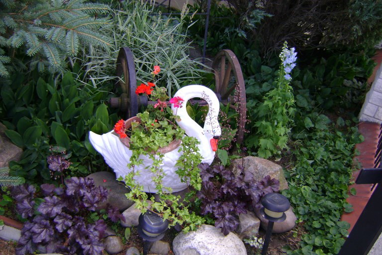 Mój ogród z łabędziem
