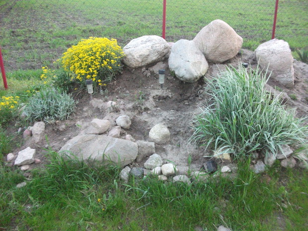 mój wiosenny skalniaczek