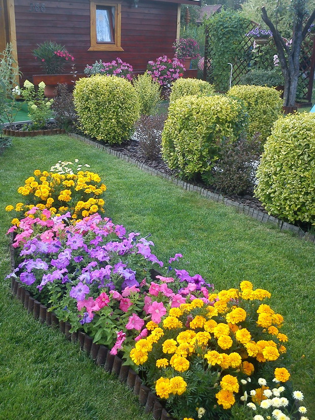 Moja gąsieniczka kwiatowa ,można w niej znaleźć petunie ,aksamitki i złocienie miniaturki:)