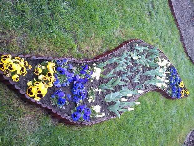 Moja gąsieniczka wiosną