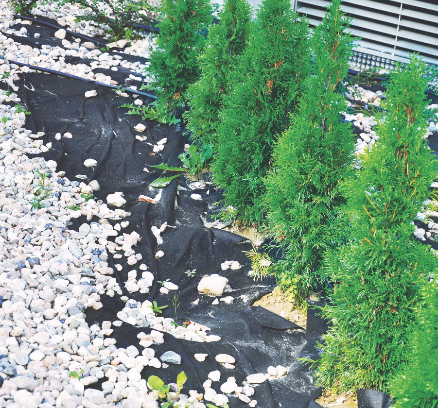 Na rozłożoną tkaninę warto nasypać warstwę kamieni. To ją zamaskuje i skutecznie przygniecie.