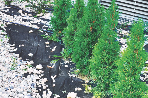 Na rozłożoną tkaninę warto nasypać warstwę kamieni. To ją zamaskuje i skutecznie przygniecie.