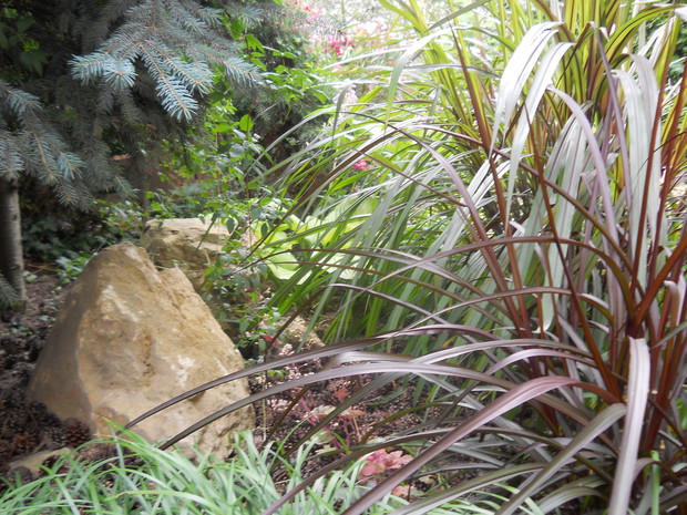 nostalgiczne trawy...