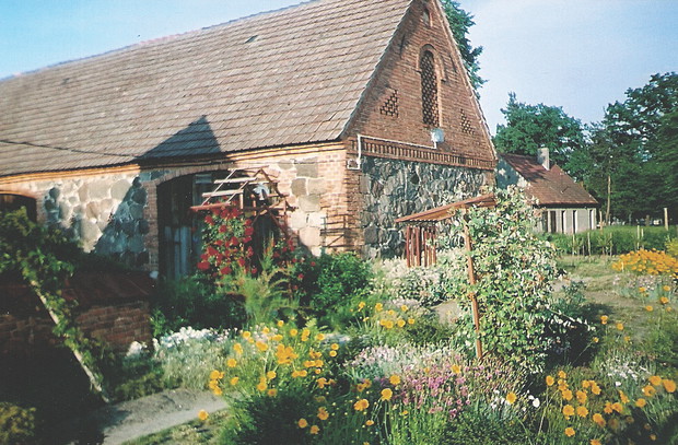 Pnącza przy pergolach nadają rabatom wiejski charakter.
