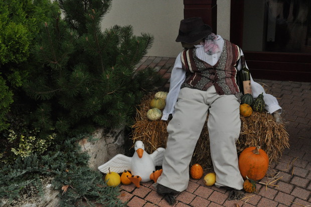 Słomiany ludek z butelką wina do złudzenia przypomina żywą istotę.