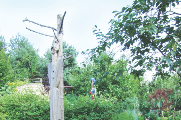 Tak usypane pole samo w sobie jest efektowne. O wiele bardziej jednak przyciąga wzrok w zestawieniu z ciekawym korzeniem, miniaturową rzeźbą albo dowolną drewnianą dekoracją.