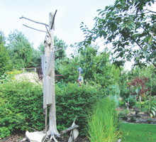 Tak usypane pole samo w sobie jest efektowne. O wiele bardziej jednak przyciąga wzrok w zestawieniu z ciekawym korzeniem, miniaturową rzeźbą albo dowolną drewnianą dekoracją.