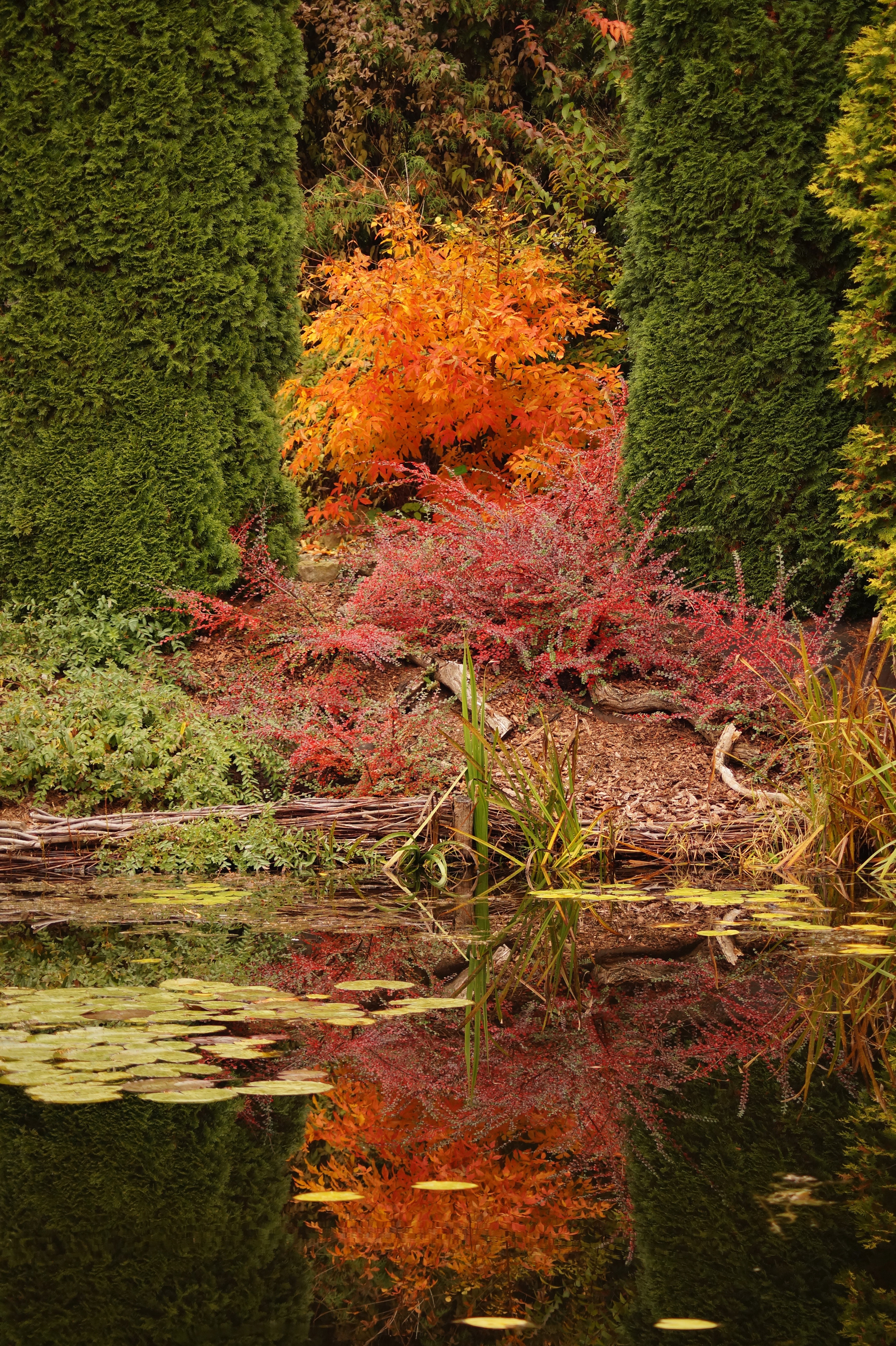 Trzy kolory - Bolestraszyce