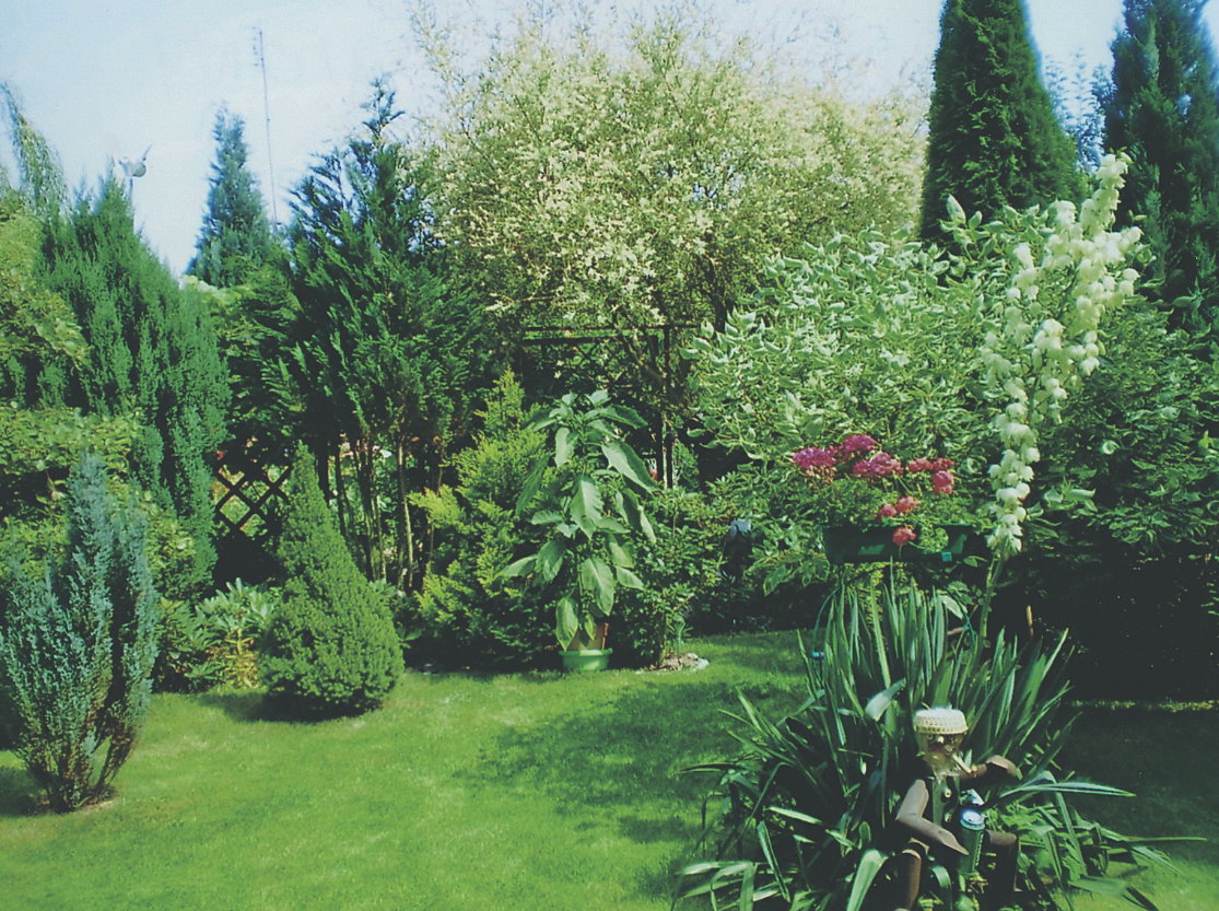 Tutaj wygrywamy ogrodnicze konkursy.