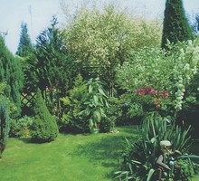 Tutaj wygrywamy ogrodnicze konkursy.