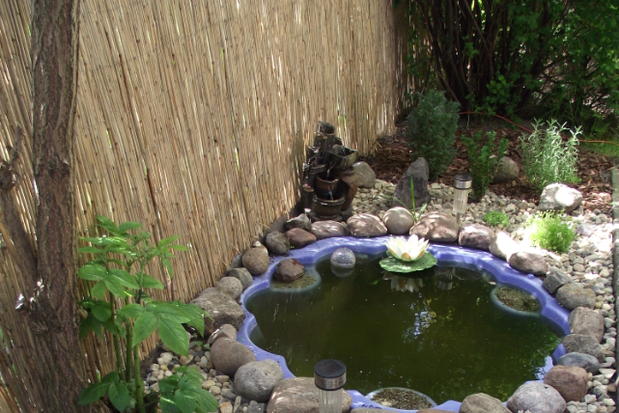 W pobliżu oczka rosną kwiaty skalne, bukszpany i karłowe odmiany iglaków