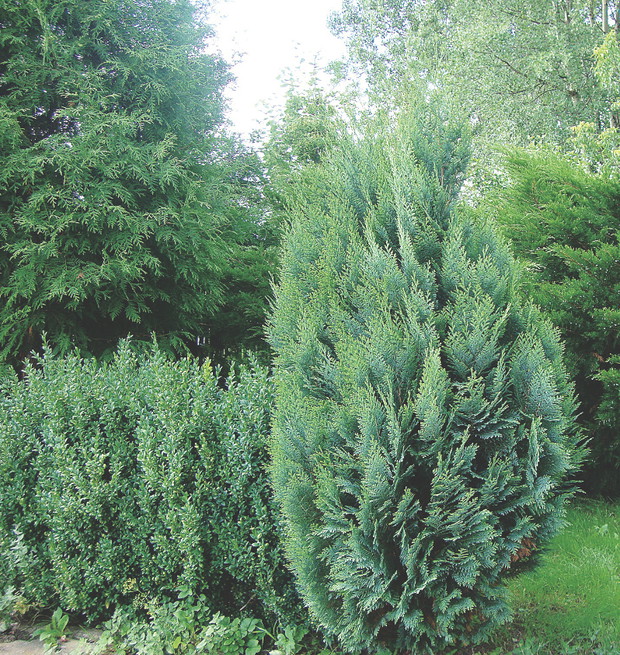 Warto dokonywać regularnego przeglądu okazów.